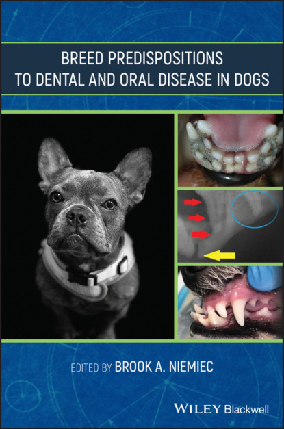 Breed Predispositions to Dental and Oral Disease in Dogs — Группа авторов