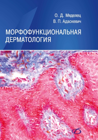 Морфофункциональная дерматология — Владимир Адаскевич