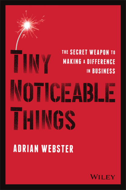 Tiny Noticeable Things — Адриан Вебстер