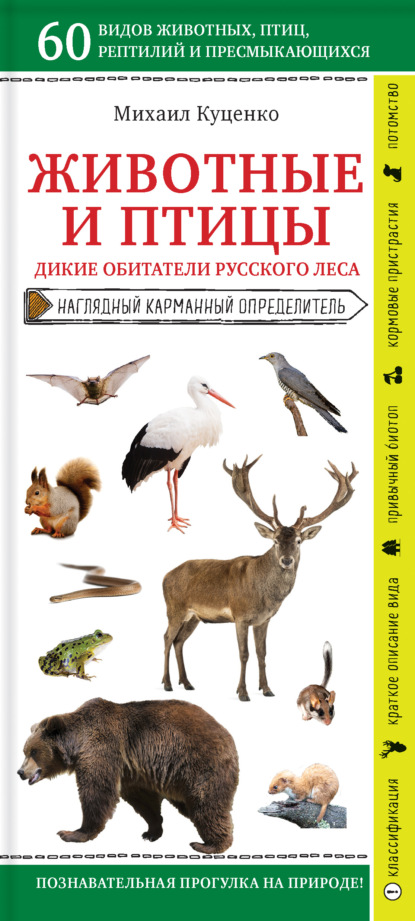 Животные и птицы. Дикие обитатели русского леса — Михаил Куценко