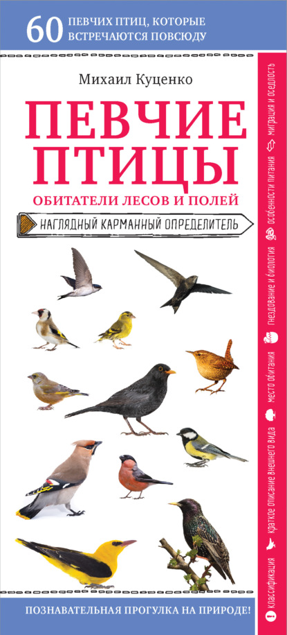 Певчие птицы. Обитатели лесов и полей — Михаил Куценко