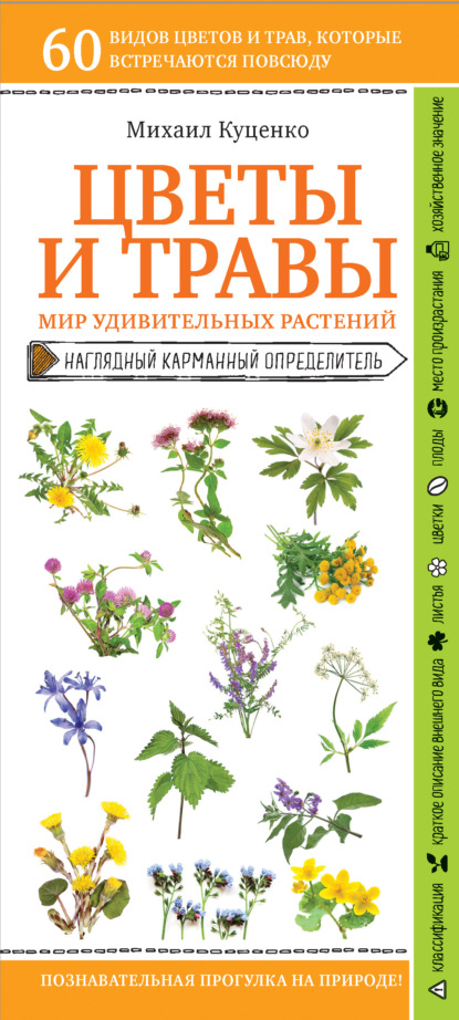 Цветы и травы. Мир удивительных растений — Михаил Куценко