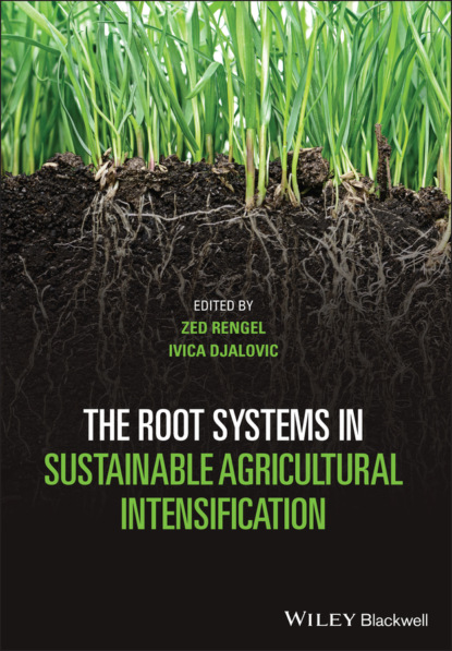 The Root Systems in Sustainable Agricultural Intensification — Группа авторов