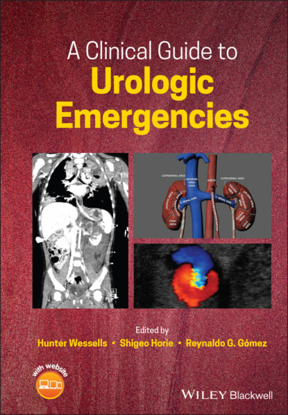 A Clinical Guide to Urologic Emergencies — Группа авторов