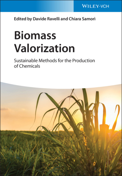 Biomass Valorization — Группа авторов