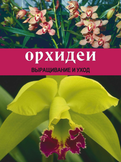 Орхидеи: Выращивание и уход — Т. Л. Шереметьева