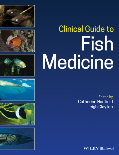 Clinical Guide to Fish Medicine — Группа авторов