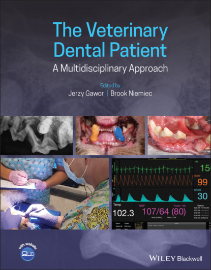 The Veterinary Dental Patient: A Multidisciplinary Approach — Группа авторов