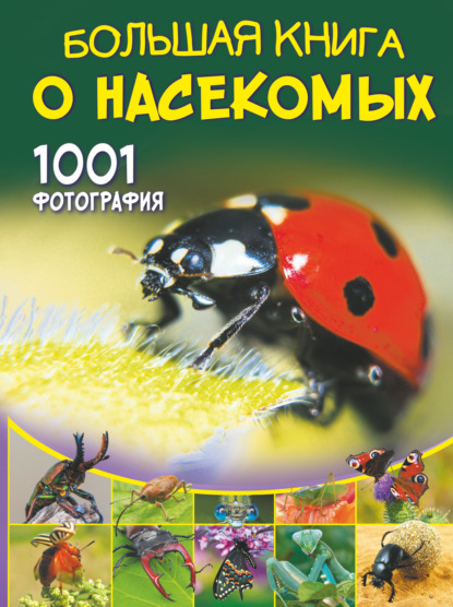 Большая книга о насекомых. 1001 фотография — А. А. Спектор