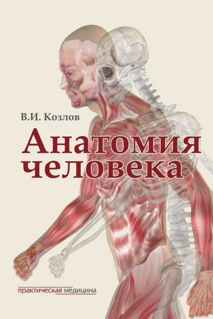Анатомия человека. Учебник для медицинских вузов — В. И. Козлов