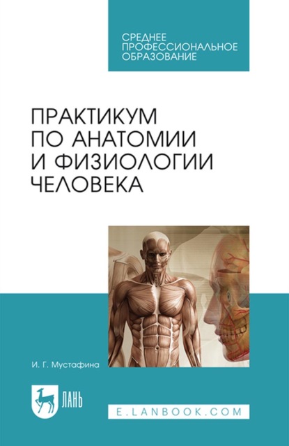 Практикум по анатомии и физиологии человека. Учебное пособие для СПО — И. Г. Мустафина