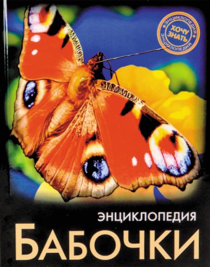 Бабочки — Людмила Соколова