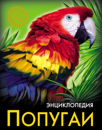 Попугаи — Ярослава Соколова