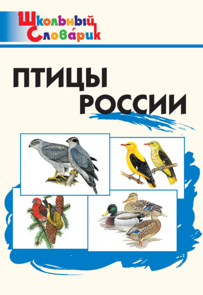Птицы России. Начальная школа — Группа авторов