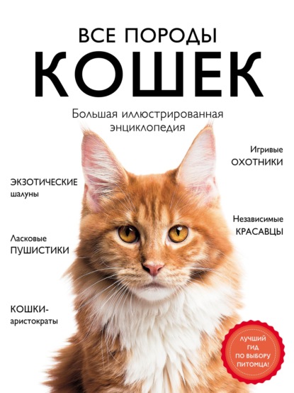 Все породы кошек. Большая иллюстрированная энциклопедия — Алина Ярощук