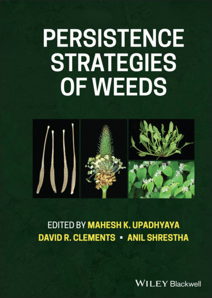 Persistence Strategies of Weeds — Группа авторов