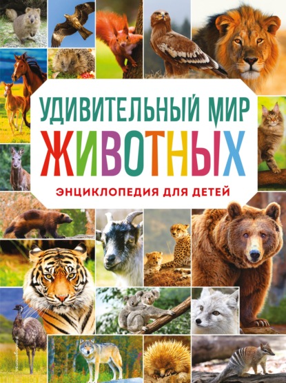 Удивительный мир животных. Энциклопедия для детей — Наталия Баранова