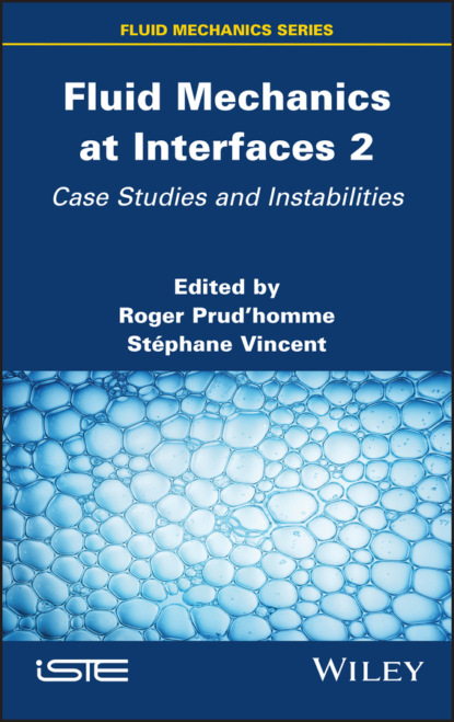 Fluid Mechanics at Interfaces 2 — Группа авторов