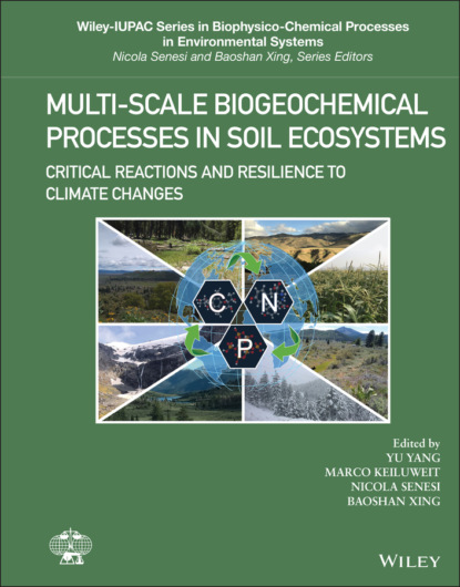 Multi-Scale Biogeochemical Processes in Soil Ecosystems — Группа авторов