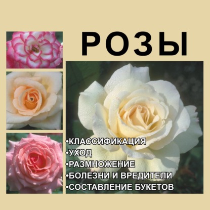 Розы — И. Е. Гусев