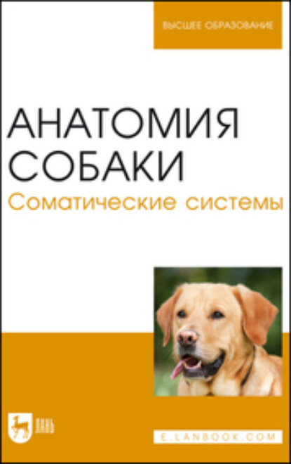 Анатомия собаки. Соматические системы — Н. В. Бабичев