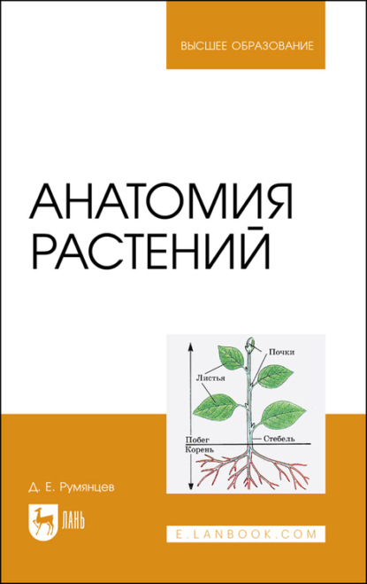 Анатомия растений — Д. Е. Румянцев