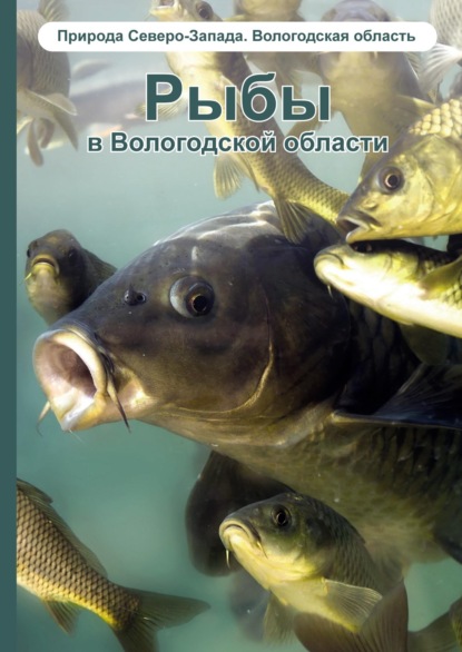 Рыбы в Вологодской области — М. Я. Борисов