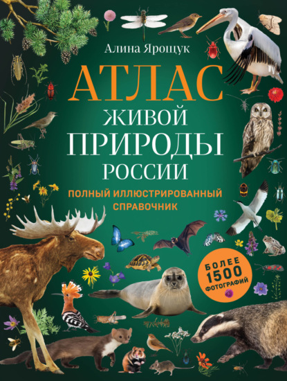 Атлас живой природы России. Полный иллюстрированный справочник — Алина Ярощук