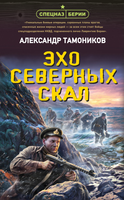 Эхо северных скал — Александр Тамоников