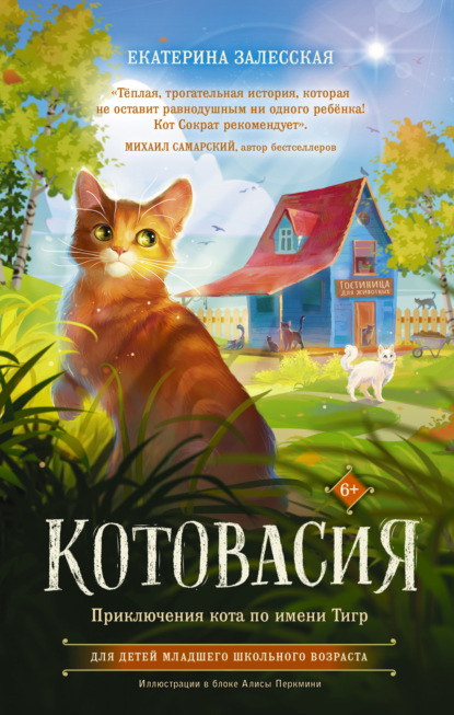 Котовасия. Приключения кота по имени Тигр — Екатерина Залесская