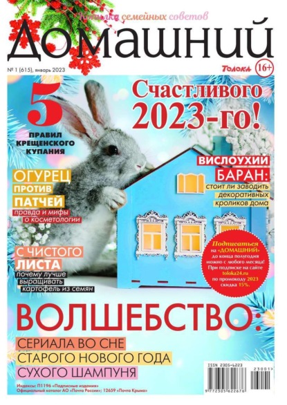 Домашний Журнал 01-2023 — Редакция журнала Домашний Журнал