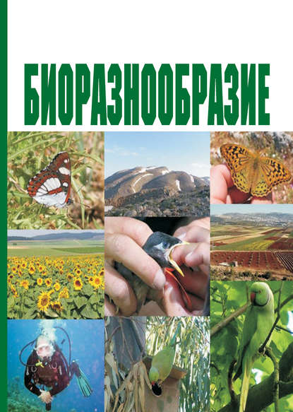 Биоразнообразие. Учебное пособие — И. О. Лысенко
