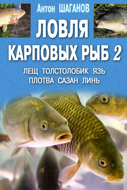 Ловля карповых рыб – 2 — Антон Шаганов