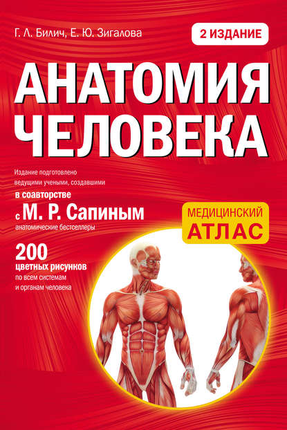 Анатомия человека - Г. Л. Билич