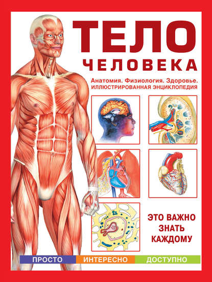 Тело человека. Анатомия. Физиология. Здоровье — Группа авторов