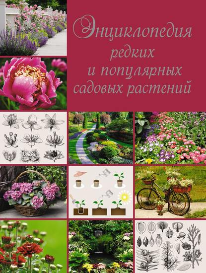 Энциклопедия редких и популярных садовых растений — О. В. Яковлева