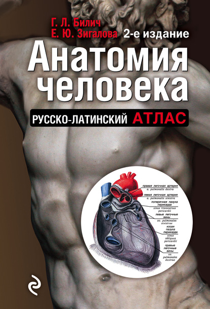 Анатомия человека. Русско-латинский атлас — Г. Л. Билич