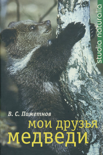 Мои друзья медведи — В. С. Пажетнов