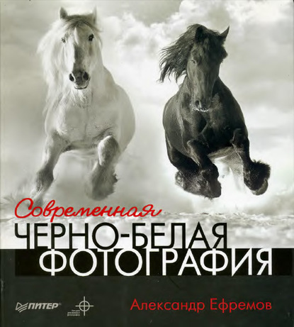 Современная черно-белая фотография — Александр Ефремов