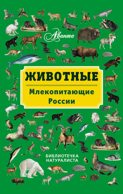 Животные. Млекопитающие России — В. Г. Бабенко