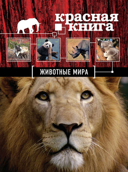 Красная книга. Животные мира — Оксана Скалдина
