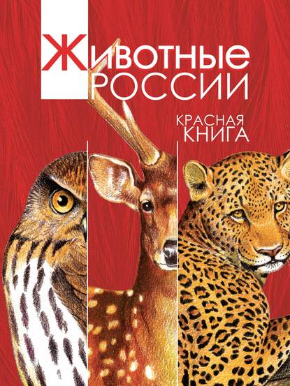 Животные России. Красная книга — А. В. Тихонов