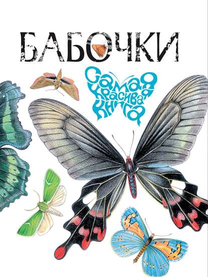 Бабочки — В. Г. Бабенко