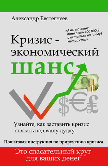 Кризис: экономический шанс — Александр Евстегнеев