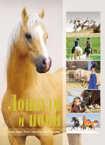 Лошади и пони — В. М. Жабцев