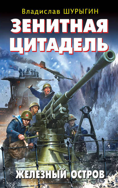 Зенитная цитадель. «Не тронь меня!» — Владислав Шурыгин