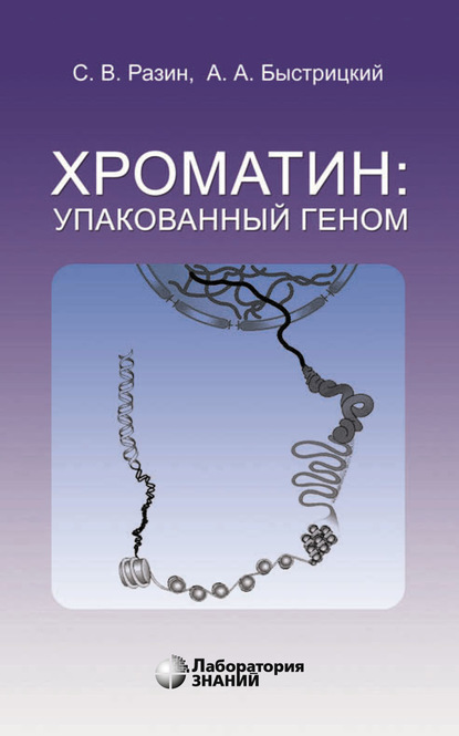 Хроматин: упакованный геном — А. А. Быстрицкий