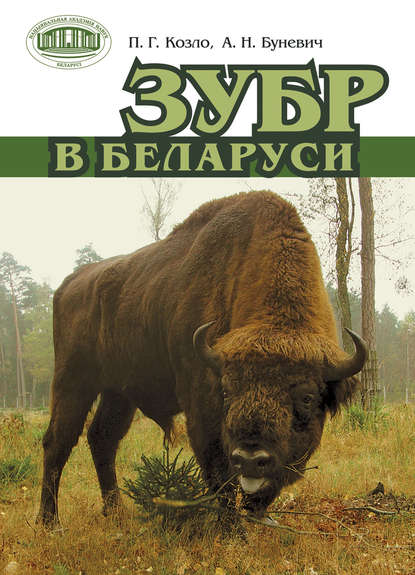 Зубр в Беларуси — П. Г. Козло