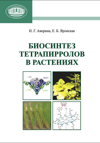 Биосинтез тетрапирролов в растениях — Н. Г. Аверина