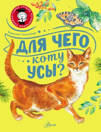 Для чего коту усы? — Виталий Танасийчук